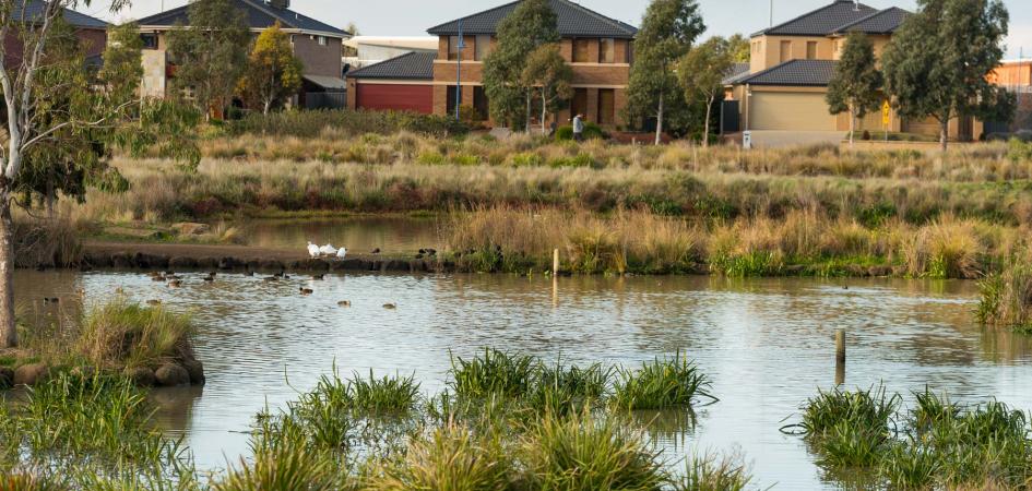 Manor lakes